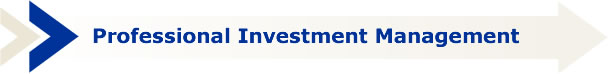 Professional Investment Management